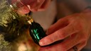 Here it is, the legendary Christmas pickle