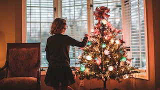 Every Year Again: A Plastic Christmas Tree Can Be Reused