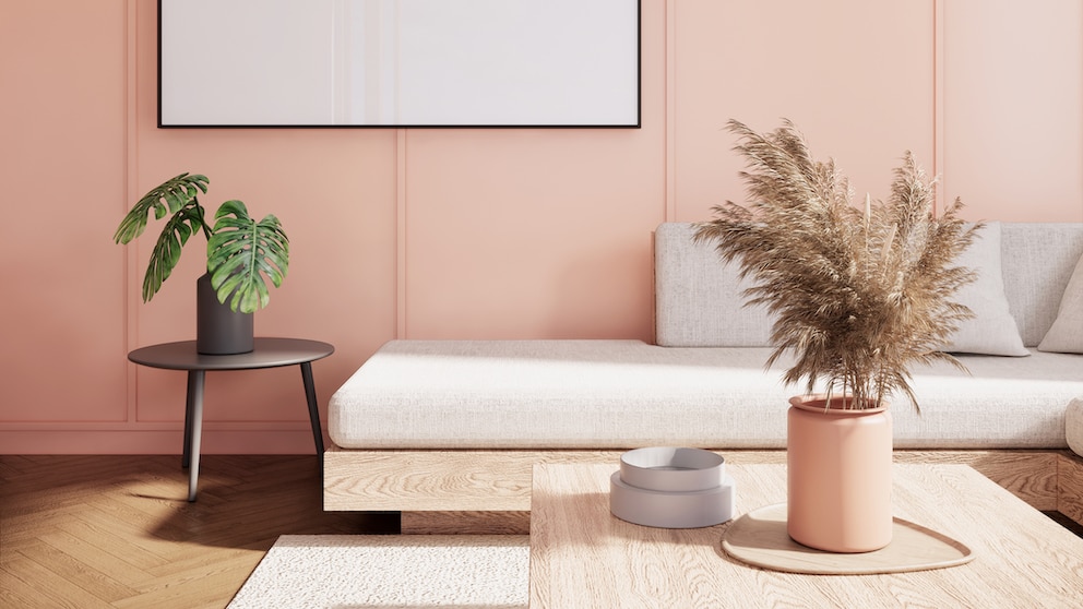 Pantone Color 2024: Peach Fuzz