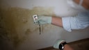 Damp Basement