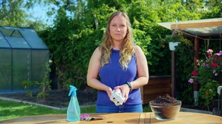 Old egg cartons can be wonderfully repurposed for growing plants.