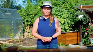 Plant Pots Made from Toilet Paper Rolls