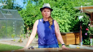 Sowing aids are excellent for maintaining the spacing between plants.