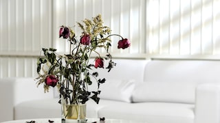 Some cut flowers are contaminated with pesticides because they are imported from abroad. In those countries, there are often different regulations regarding the use of pesticides.