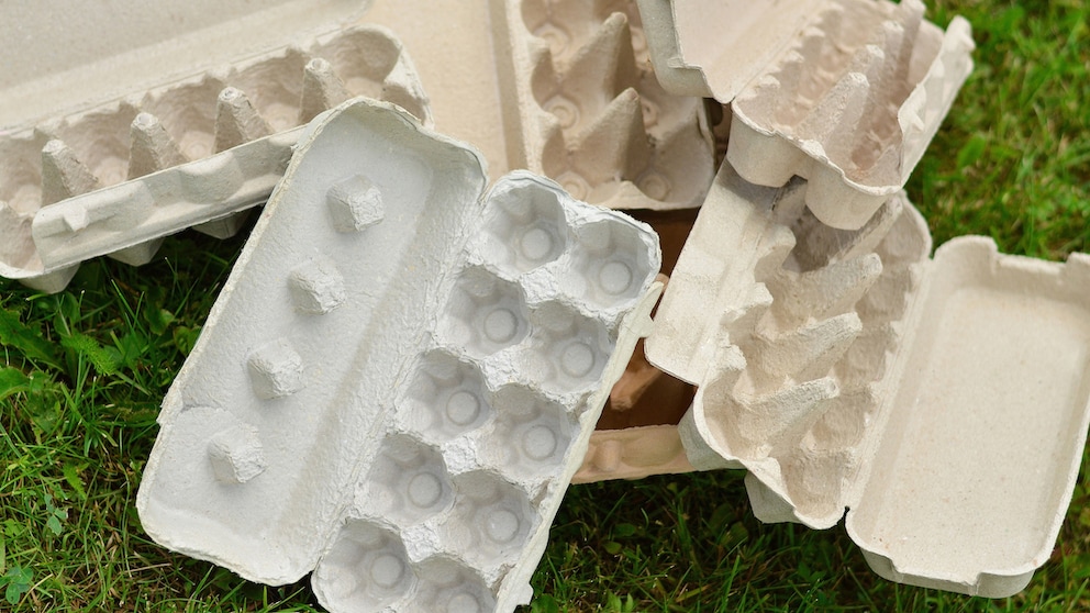 Do Not Reuse Egg Cartons