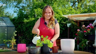 When repotting plants, a lot of dirt often accumulates, but this can be avoided.