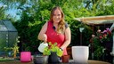 When repotting plants, a lot of dirt often accumulates, but this can be avoided.