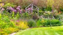It's best to plant perennials only after the Ice Saints.