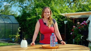 A self-watering birdbath is always filled with fresh water.