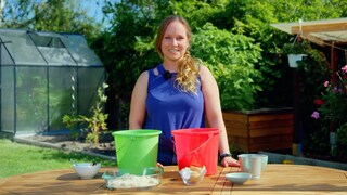 Compost from your own garden is an excellent fertilizer and helps plants grow.