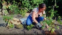 Mulching is important both in spring and fall.
