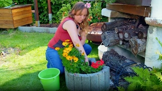 With This Trick, You Won't Have to Worry About Watering Plants While on Vacation
