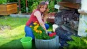 With This Trick, You Won't Have to Worry About Watering Plants While on Vacation