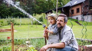 More important than frequency is consistently watering the garden.