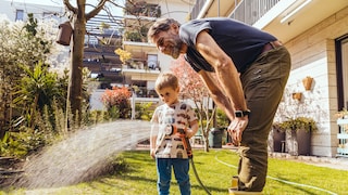In June, there are several things to consider when watering the lawn.