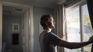 Man Looks Out the Window