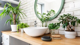 Round wall mirror in the bathroom with a green frame