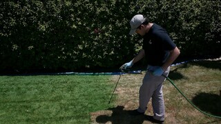 In the USA, it is already common practice to dye dry lawns green. Madness or a way to save water?