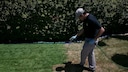 In the USA, it is already common practice to dye dry lawns green. Madness or a way to save water?