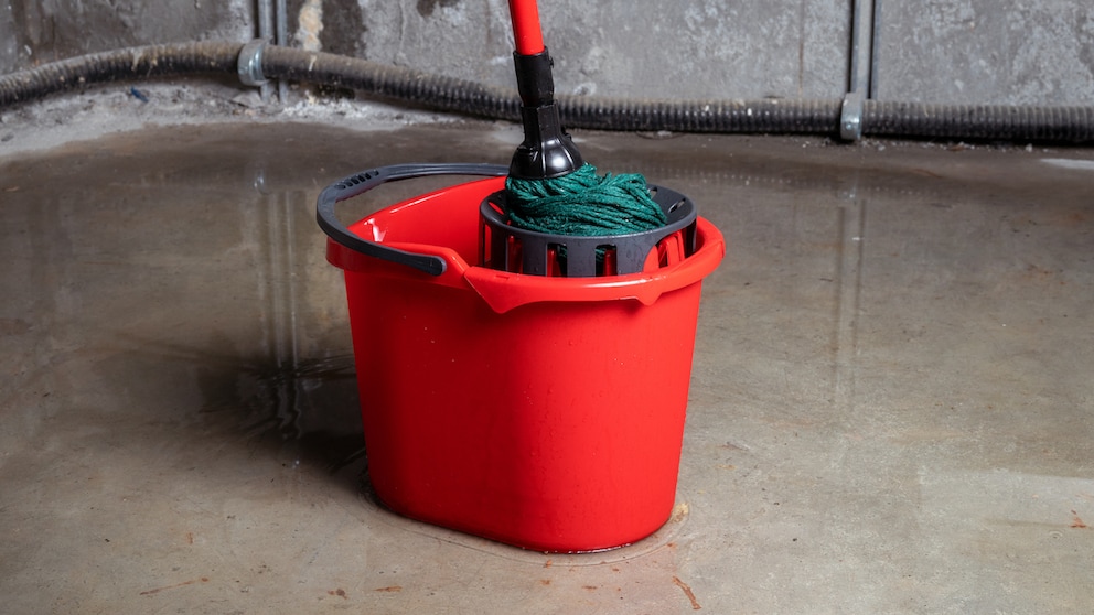 Water in the Basement