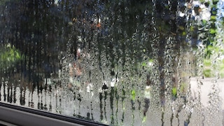 Even in summer, excessive humidity in the home can become a problem.