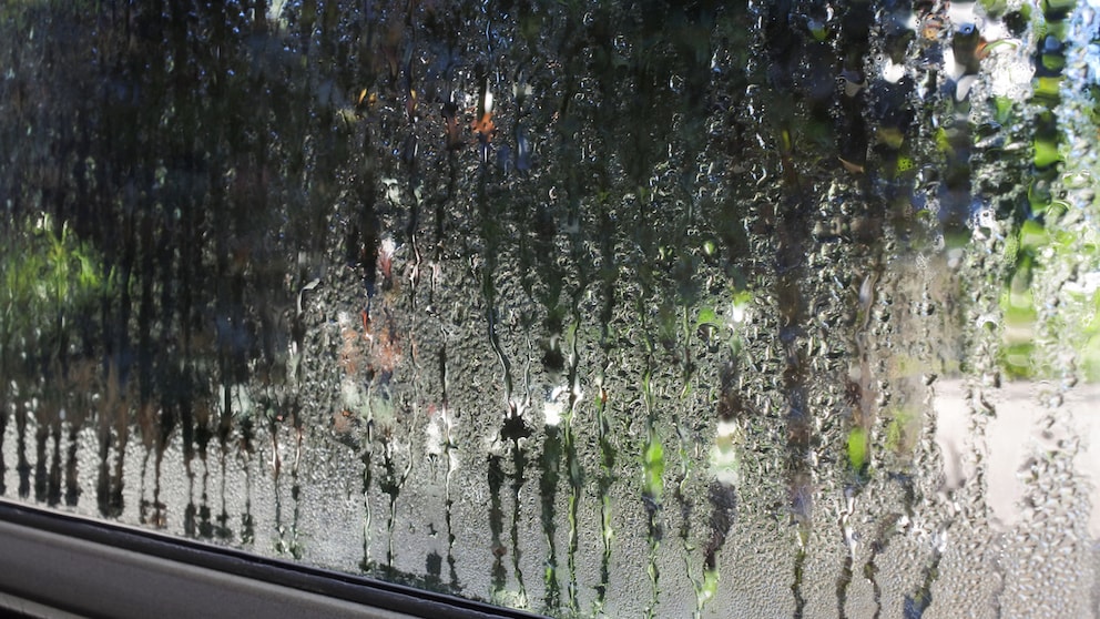 Even in summer, excessive humidity in the home can become a problem.