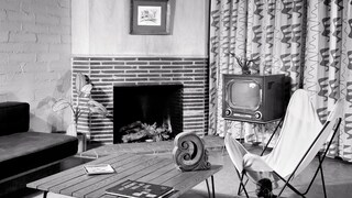 The Butterfly Chair in a Mid-20th Century Living Room