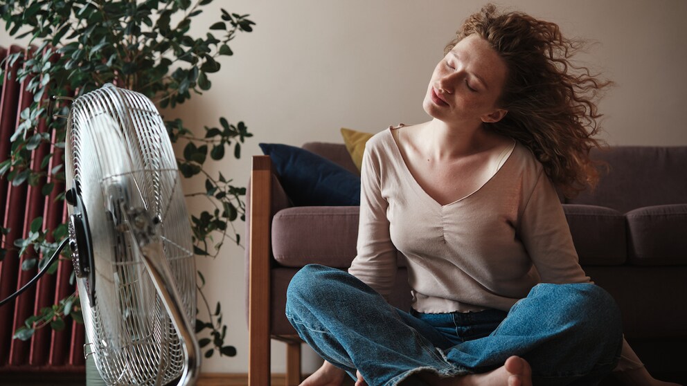 Fan