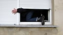 Burglar climbs through window