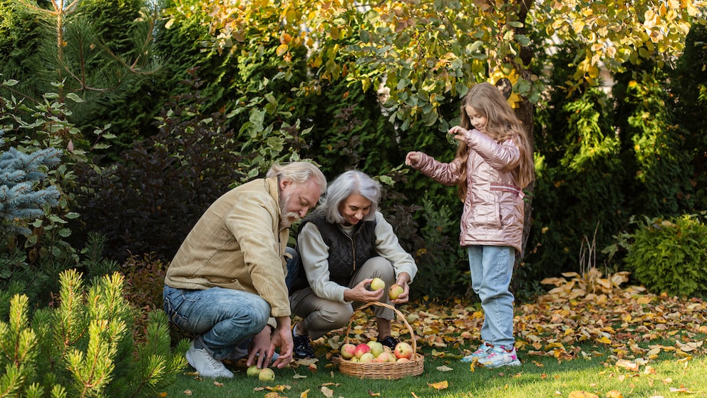 Fallen fruit can rot and mold quickly