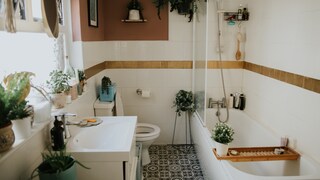 Bathroom remodel budget under 100 dollars
