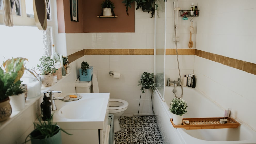 Bathroom remodel budget under 100 dollars