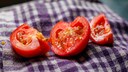 Tomatoes are easy to propagate from seed