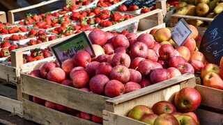 Apple varieties