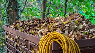 Leaf composters are available in various sizes. Production is not difficult at all.