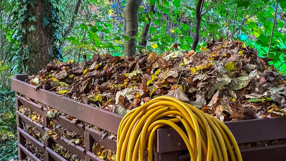 Leaf composters are available in various sizes. Production is not difficult at all.