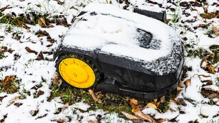 Even in December, you shouldn't ignore your lawn