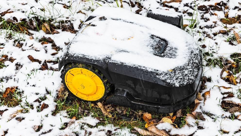 Even in December, you shouldn't ignore your lawn