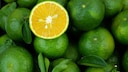 Green oranges