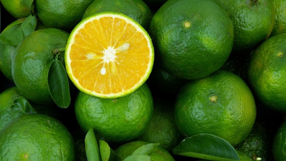 Green oranges