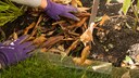 Winterizing the vegetable patch
