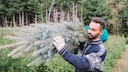 The most popular Christmas trees in Germany are the Nordmann fir and the blue spruce. What are the differences?