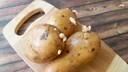 Prevent potato germination