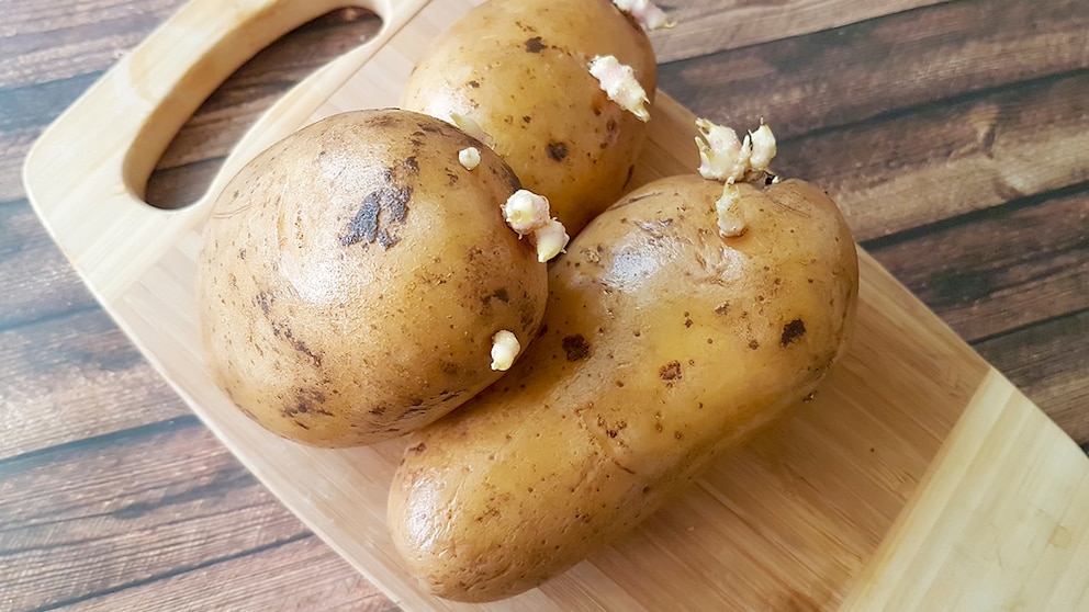 Prevent potato germination