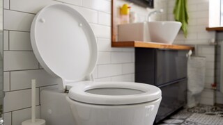 Instead of the toilet, it's better to dispose of hair in the garbage can
