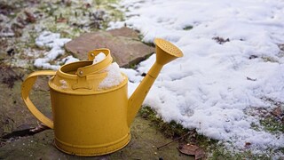 It can also be dry in winter, do you have to water the lawn then?