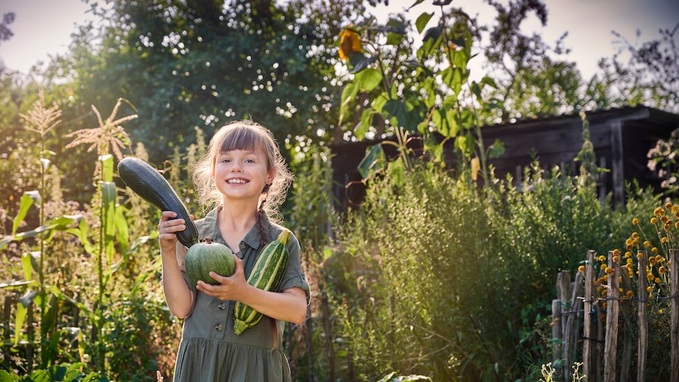Garden trends 2025: natural gardens and self-sufficiency