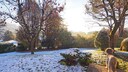 Even in February you can do something for the lawn in your garden