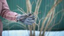 Preparing the garden for spring