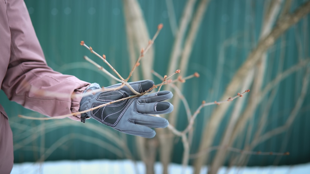 Preparing the garden for spring